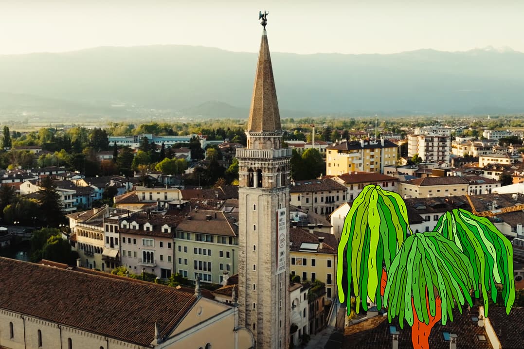 Location All-Star Festival